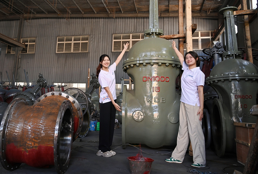 大型自動(dòng)化閥門(mén)，已成為現(xiàn)代化工業(yè)管道系統(tǒng)中不可或缺的關(guān)鍵設(shè)備